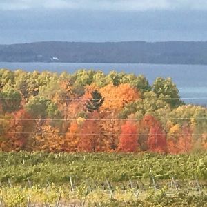 Meet your Posher, Duchar